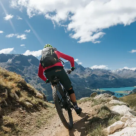 Lodge In One - / Swiss