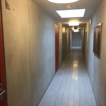 In One - / Swiss Lodge