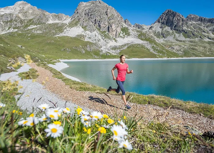 Alojamento de Turismo Selvagem In One - / Swiss