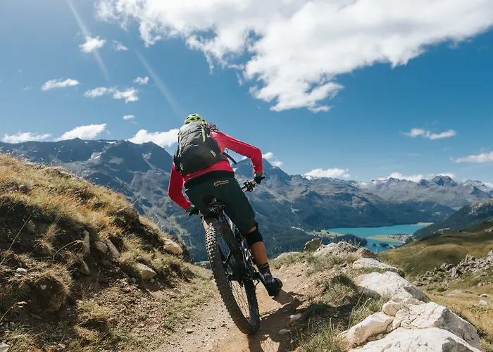 Alojamento de Turismo Selvagem In One - / Swiss