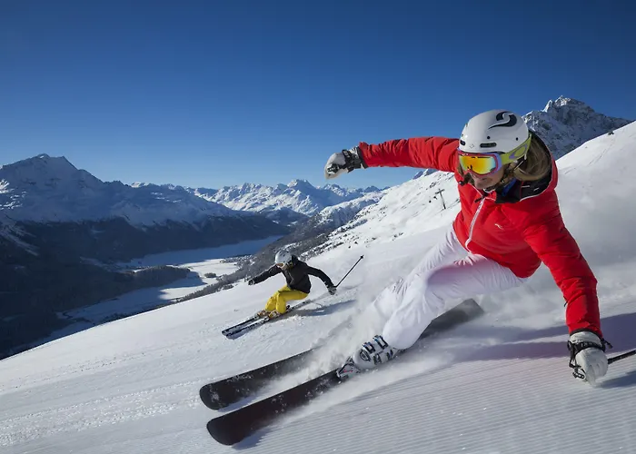 Alojamento de Turismo Selvagem In One - / Swiss *