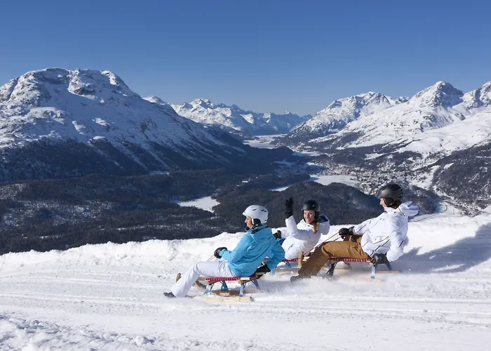 In One - / Swiss Alojamento de Turismo Selvagem *