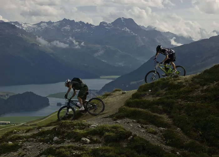 In One - / Swiss Lodge