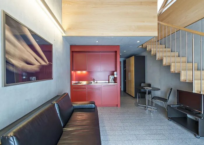 In One - / Swiss Orman Evi *