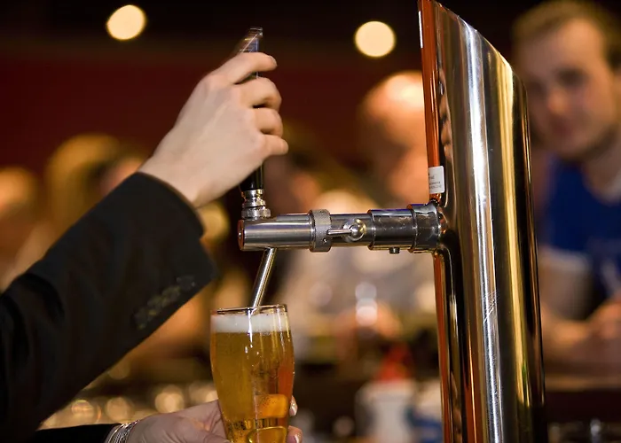 In One - / Swiss Orman Evi *