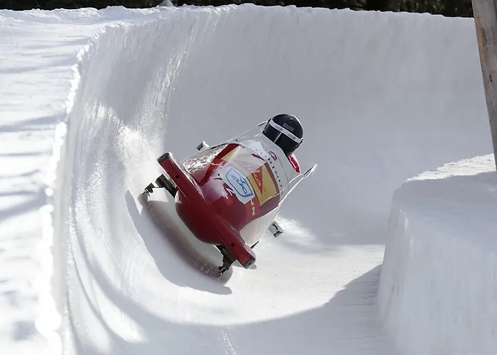 Orman Evi In One - / Swiss Celerina/Schlarigna