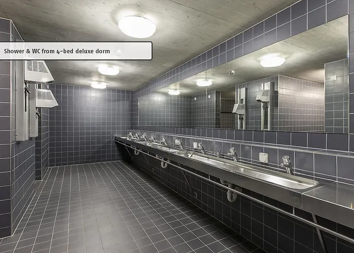 Orman Evi In One - / Swiss *