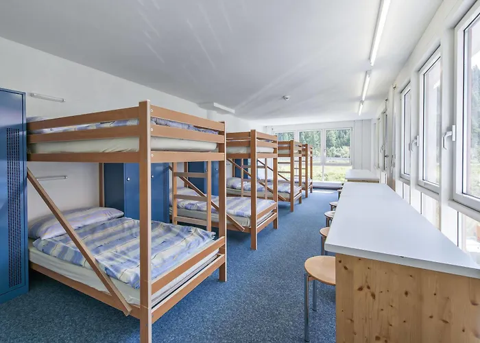 In One - / Swiss Orman Evi