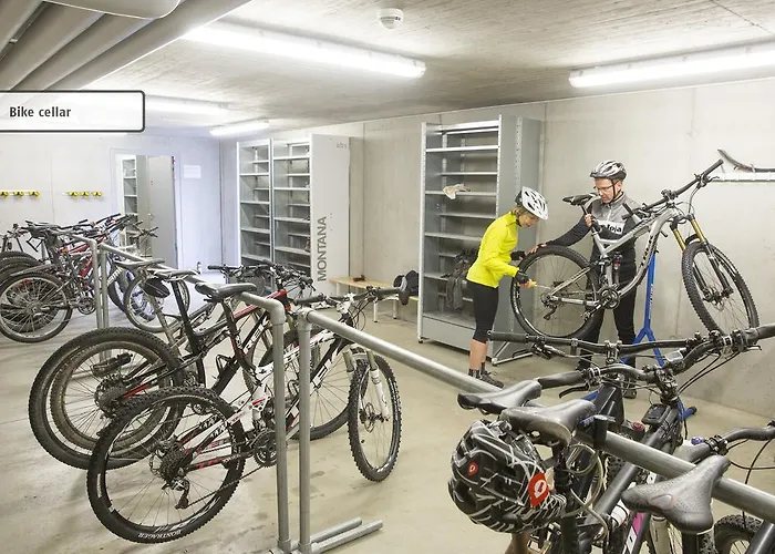 山林小屋 全能酒店 - 旅馆住宿/瑞士小屋 切勒里纳