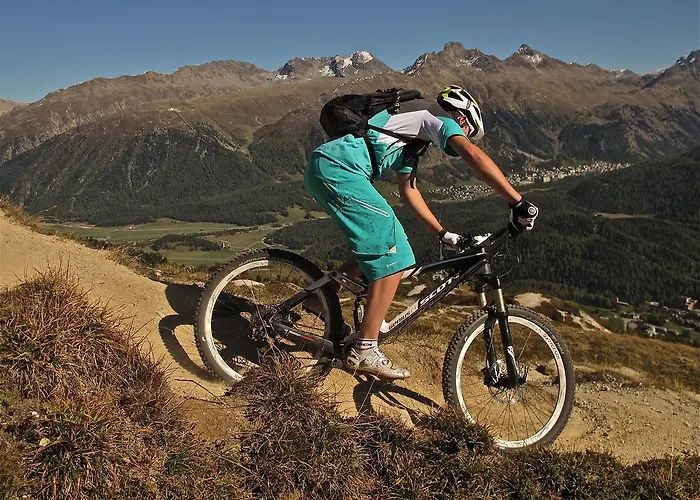 全能酒店 - 旅馆住宿/瑞士小屋 切勒里纳