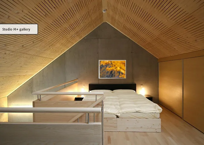 山林小屋 全能酒店 - 旅馆住宿/瑞士小屋 切勒里纳